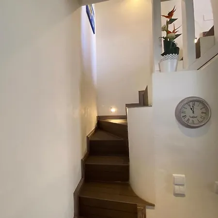 Center House * לאגוּ‏ש